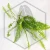 20260716_104251.webp