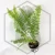 20260716_104438.webp