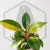20260716_104840.webp
