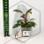 20260716_104850.webp