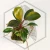 20260716_104909.webp