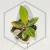 20260716_105011.webp