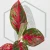 20260716_105436.webp