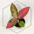 20260716_105503.webp