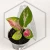 20260716_105515.webp