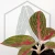 20260716_105604.webp