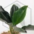 20260716_110106.webp