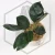 20260716_110144.webp