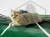DSC04025.JPG