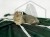 DSC04125.JPG