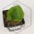 20260716_145150.webp