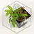 20260716_150001.webp