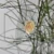 20260716_152639.webp