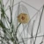 20260716_152643.webp