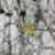 20260716_152657.webp