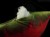 DSC04247.JPG
