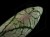 DSC04268.JPG