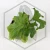 20260716_155430.webp