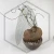 20260716_155544.webp