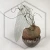 20260716_155545.webp