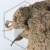 20260716_155756.webp