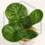 20260716_160432.webp