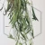 20260722_120457.webp