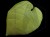 DSC04373.JPG