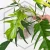 20260722_123506.webp