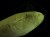 DSC04379.JPG
