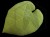 DSC04385-1.JPG