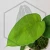 20260724_104920.webp