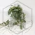 20260724_104736.webp