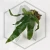20260724_111637.webp