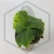 20260724_112243.webp