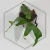 20260724_112342.webp