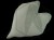DSC04419.JPG