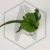 20260724_112613.webp
