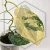 20260724_115026.webp