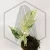 20260724_115239.webp