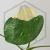 20260724_115500.webp