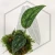 20260724_115619.webp