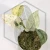 20260724_115714.webp
