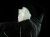DSC04456.JPG
