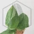 20260724_121130.webp