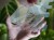 DSC05146-PhotoRoom.jpg