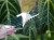 DSC05148-PhotoRoom.jpg