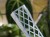 DSC05177-PhotoRoom.jpg