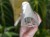 DSC05288-PhotoRoom.jpg