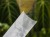 DSC05298-PhotoRoom.jpg